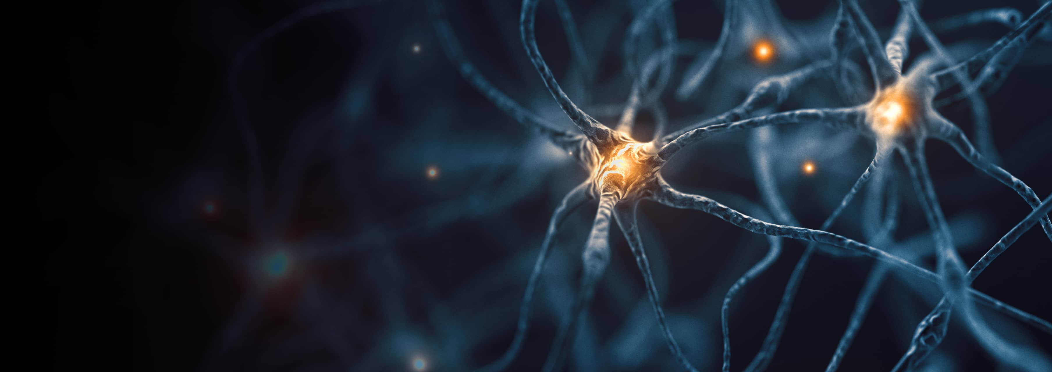 Organoid Intelligence: Toward Biohybrid Architectures Beyond Silicon