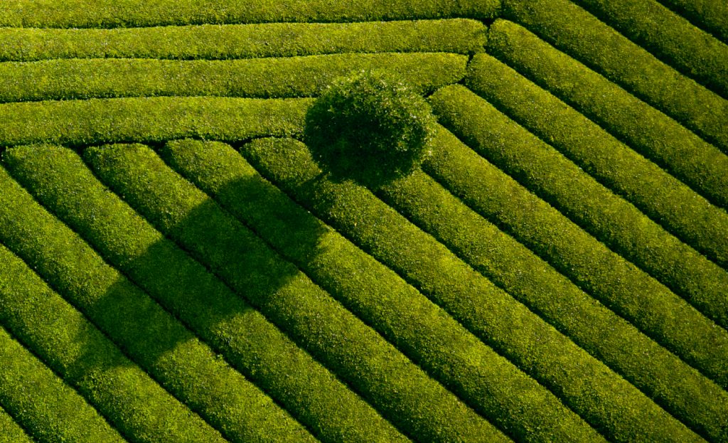 Blog cover_ELEKS Launches COVERE² 2026_2