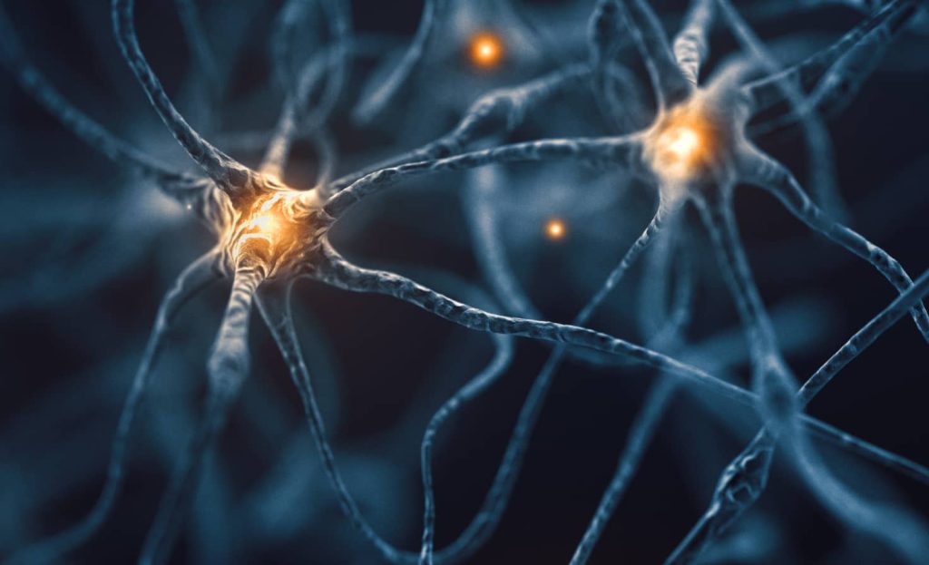 Organoid Intelligence: Toward Biohybrid Architectures Beyond Silicon