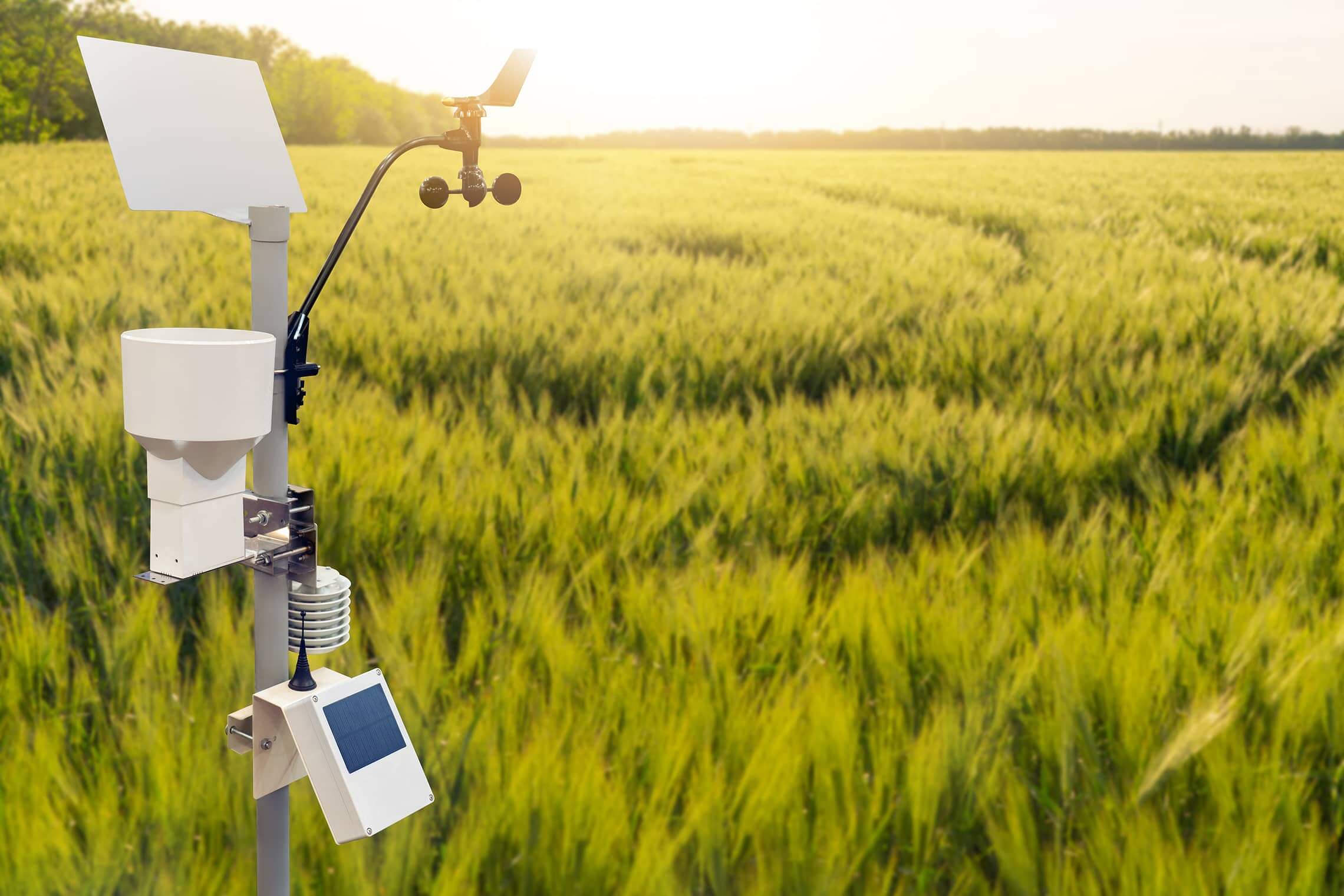 connected farm weather station