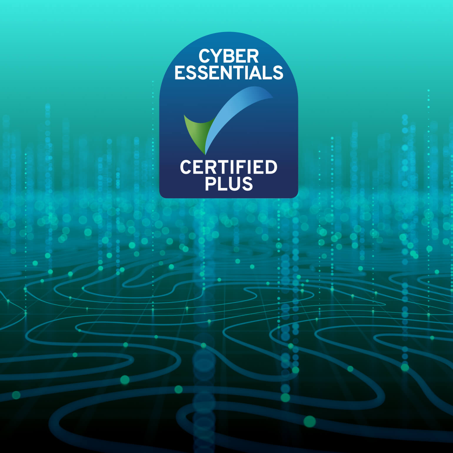 Cyber Essential-image