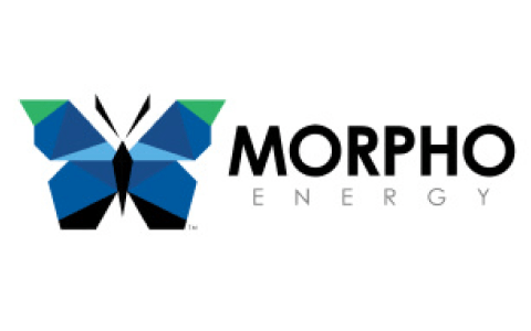 morpho-color-logo-min