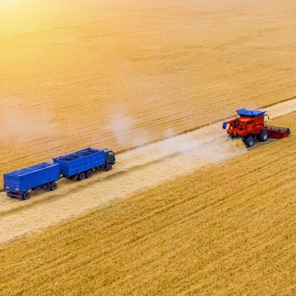 blockchain in agriculture