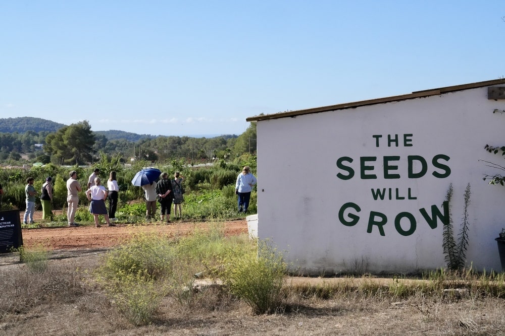 project sustainability